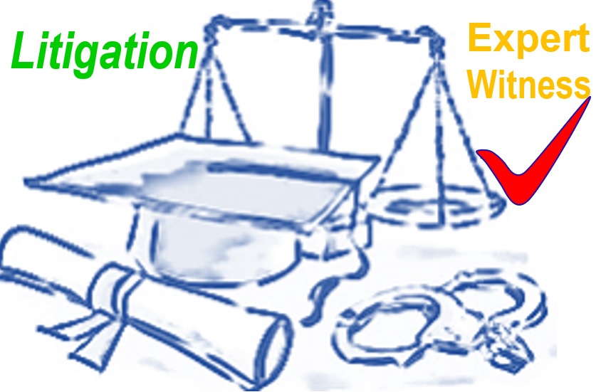 expert witness requirements